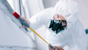 Best Commercial Pest Control  in Bloomgton, IN